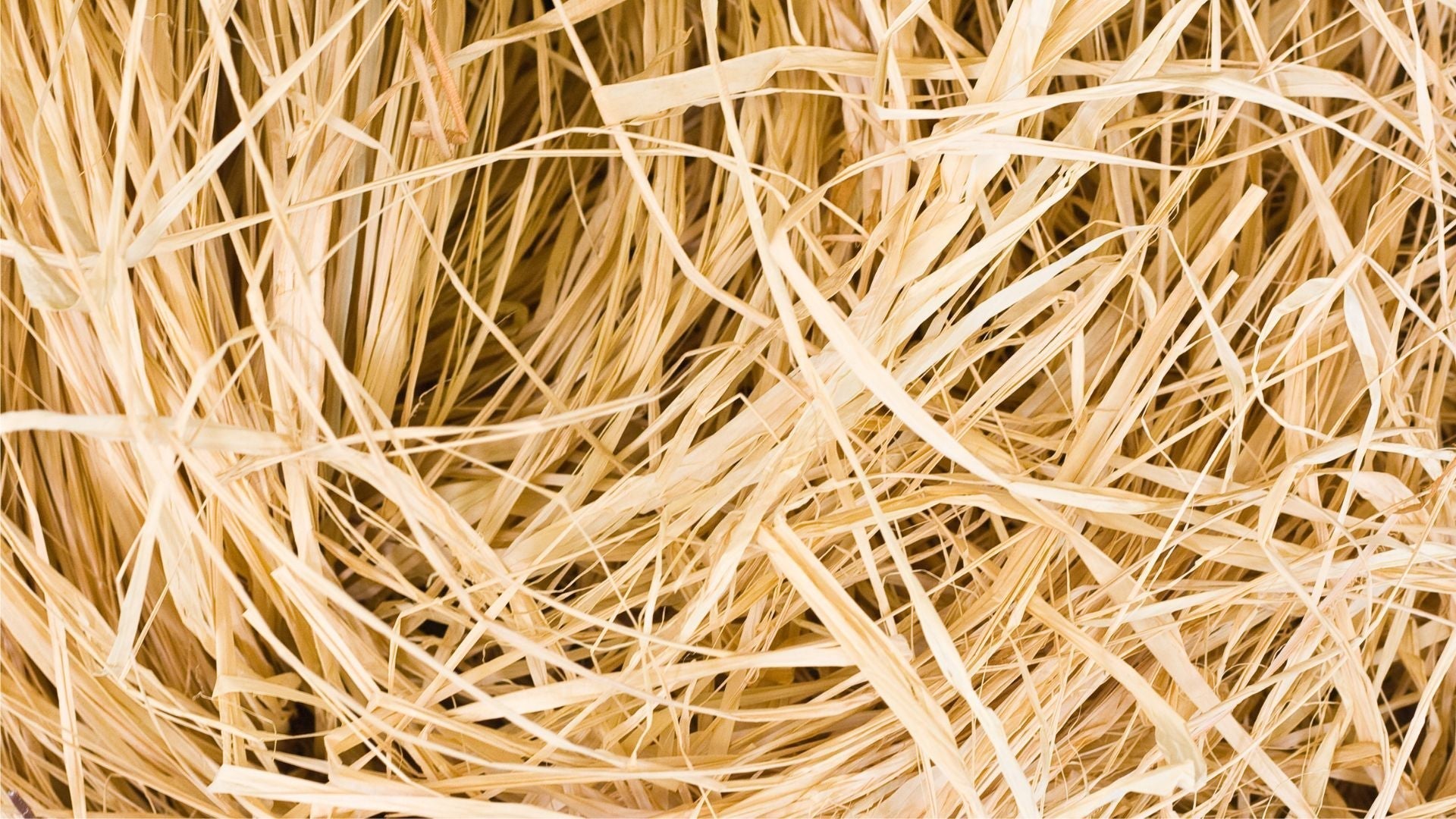 Bolso de rafia con flecos: el accesorio imprescindible de este verano